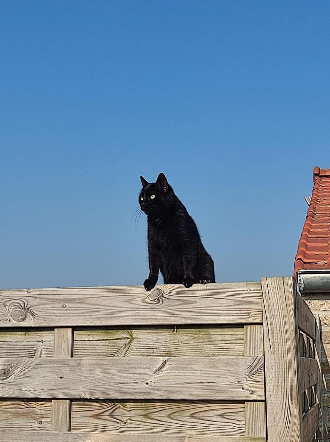 De Blinker Villa Knokke-Heist Bagian luar foto